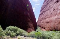 Besuch der Kata Tju?a (The Olgas) mit kleine Wanderung 