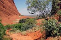Besuch der Kata Tju?a (The Olgas) mit kleine Wanderung 