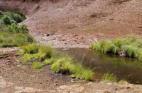 Besuch der Kata Tju?a (The Olgas) mit kleine Wanderung 