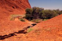 Besuch der Kata Tju?a (The Olgas) mit kleine Wanderung 
