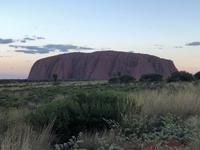Sonnenuntergang am Ayers Rock