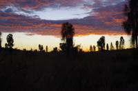 Sonnenaufgang am Ayers Rock