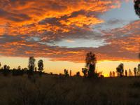Sonnenaufgang am Ayers Rock