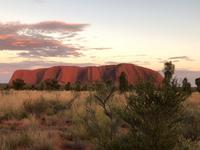 Sonnenaufgang am Ayers Rock