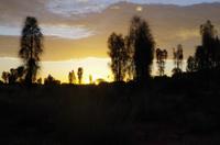 Sonnenaufgang am Ayers Rock