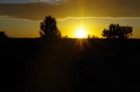 Sonnenaufgang am Ayers Rock