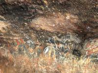 Kleine Wanderung des 