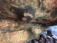 Kleine Wanderung des 