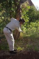 Kleine Wanderung des 