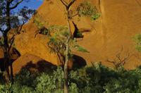 Kleine Wanderung des 