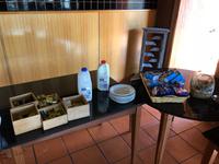 Kontinentales Frühstück im Kulturzentrum Ulu?u-Kata-Tju?a-Nationalpark