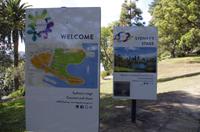 Stadtrundfahrt durch Sydney