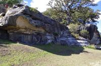 Foto-Stopp am Mrs. Macquaries Chair in Sydney