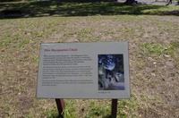 Foto-Stopp am Mrs. Macquaries Chair in Sydney