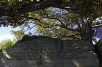 Foto-Stopp am Mrs. Macquaries Chair in Sydney