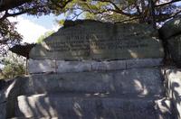 Foto-Stopp am Mrs. Macquaries Chair in Sydney