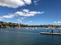 Foto-Stopp am Forsyth Park