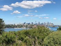 Foto-Stopp am Forsyth Park