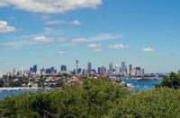 Foto-Stopp am Forsyth Park