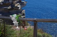 Spaziergang am Don Ritchie Grove