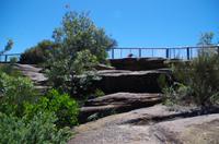 Spaziergang am Don Ritchie Grove