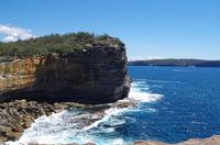 Spaziergang am Don Ritchie Grove