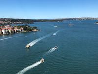 Besuch des Sydney Harbour Bridge Pylon Lookout