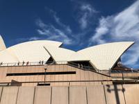 Spaziergang und Blick auf das Sydney Opera House