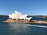 Ausschiffung mit der Diamond Princess aus Sydney