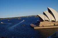 Ausschiffung mit der Diamond Princess aus Sydney