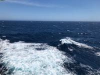 Unterwegs mit der Diamond Princess