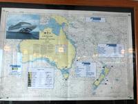 Seekarte auf der Diamond Princess