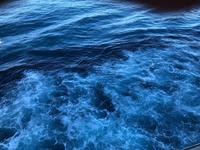 Unterwegs mit der Diamond Princess