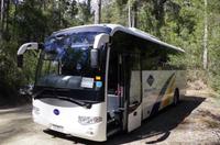 Besuch des Mount Field National Parks mit Spaziergang 