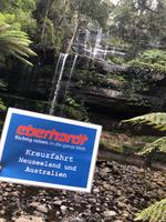 Besuch des Mount Field National Parks mit Spaziergang 