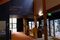 Mittagspause im Mount Field National Park