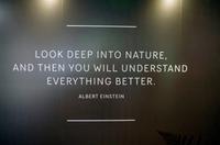 Mittagspause im Mount Field National Park