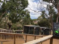 Besuch vom Bonorong Wildlife Sanctuary in Hobart