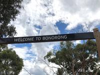 Besuch vom Bonorong Wildlife Sanctuary in Hobart