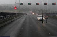 Fahrt vom Bonorong Wildlife Sanctuary zum Hafen zurück