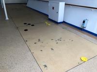 Unterwegs mit der Diamond Princess