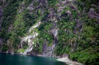 Einfahrt vom Milford Sound