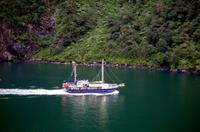 Einfahrt vom Milford Sound