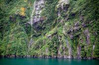 Einfahrt vom Milford Sound