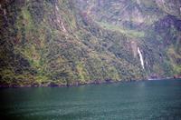 Einfahrt vom Milford Sound
