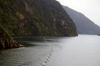 Einfahrt vom Milford Sound