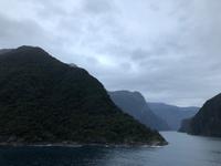 Einfahrt vom Milford Sound