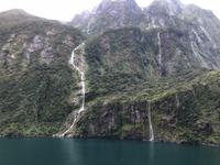 Einfahrt vom Milford Sound