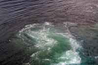 Einfahrt vom Milford Sound