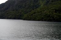 Einfahrt vom Thompson Sound